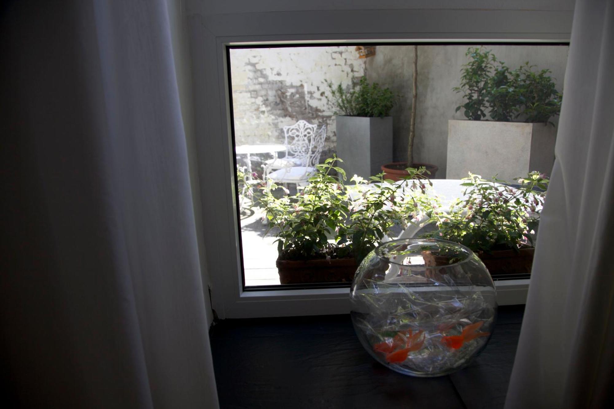 Apartment Miro โคโลญ ภายนอก รูปภาพ